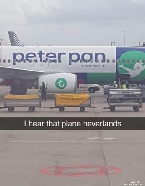 Peter Pan Airlines Airplane Meme, Plane Memes, Pilot Humor, Aviation Humor, Funny Car Memes, Disney Memes, Funny Puns, Car Humor, Really Funny Pictures