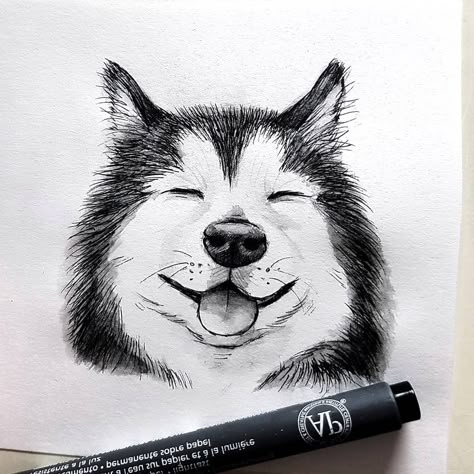 Husky Drawing, Husky Art, Easy Disney Drawings, Animal Drawings Sketches, Disney Art Drawings, 강아지 그림, Art Drawings Sketches Pencil, Art Tools Drawing, Dog Canvas