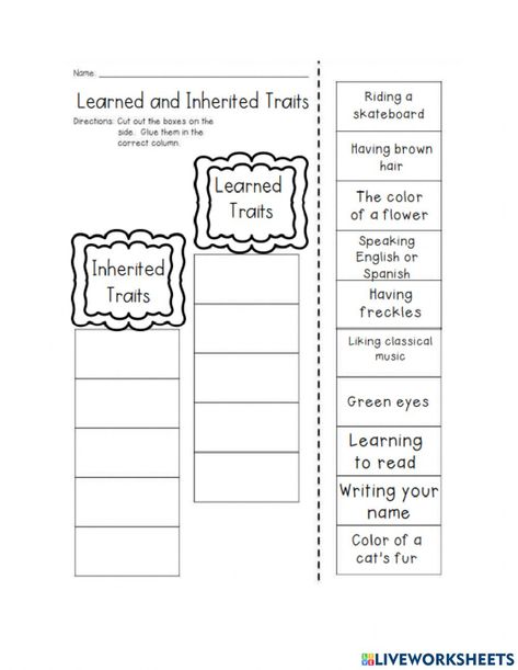 Inheritance And Traits For 3rd Grade, Inherited Traits 3rd Grade, Inherited Traits, States Of Matter Worksheet, Vertebrates And Invertebrates, Matter Worksheets, Worksheets For Grade 3, Female Reproductive System, Force And Motion