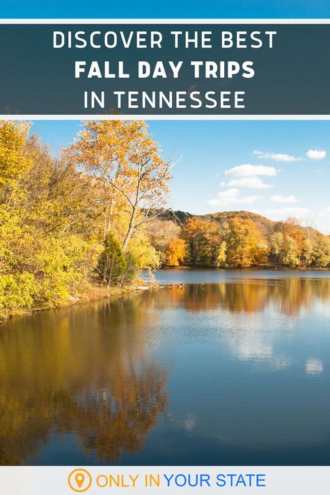 Discover some of the best and most beautiful fall day trips in Tennessee. Explore nature at these outdoor destinations including waterfalls, state parks, and Great Smoky Mountain National Park! You'll find hiking trails, kayaking, horseback riding, camping, foliage, historic drives and plenty of photo opportunities. All make for great local vacation spots! Day Trips In Tennessee, Fall Destinations, Fall Road Trip, Fall Vacations, Hidden Beach, Great Smoky Mountains National Park, Smoky Mountain National Park, Smoky Mountain, Beautiful Images Nature