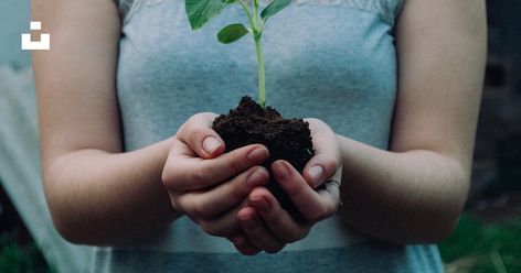 Thanks to @DanteovSeen for making this photo available freely on @unsplash 🎁 Edging Plants, Worm Composting, Growing Veggies, Crape Myrtle, Plant Combinations, Planting Vegetables, Veggie Garden, Edible Garden, Earth Day