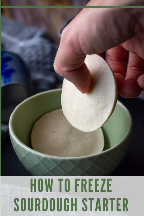 Freezing Sourdough Starter, Freeze Sourdough Starter, Artisanal Bread, Baking Therapy, Sourdough Rolls, Bread Starter, Frozen Cookie Dough, Sour Dough, Sourdough Baking