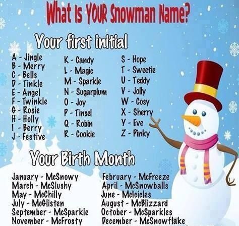 Christmas Name Generator, Twin Crafts, Snowman Names, Snowman Name, Funny Name Generator, Brownies Activities, Name Activities Preschool, Christmas Diy's, Usborne Books Party