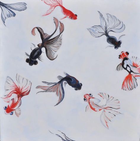 oil painting of Golden fish, japanese fish in black red and blue nuances Fish Japanese, Goldfish Art, Japanese Fish, Golden Fish, Chinese Brush Painting, Chinese Brush, Fish Painting, Painting Oil, Goldfish