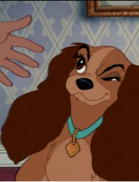 Lady from lady and the tramp The Lady And The Tramp, Old Disney Movies, Emma Lou, Disney Dogs, Film Disney, Disney Animals, Disney Favorites, Old Disney, Disney Aesthetic