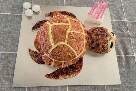 How to make a sea turtle birthday cake using Woolworths mud cakes | Better Homes and Gardens Woolworths Mud Cake Hack, Sea Turtle Birthday Cake, Woolworths Cakes, Sea Turtle Birthday, Sea Turtle Cake, Mud Cakes, Turtle Birthday Cake, Brown Food Coloring, Create A Cookbook