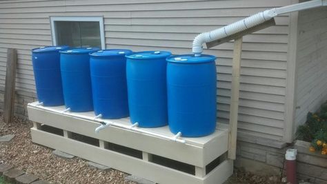 Rainwater Collection System - Survivalist Forum #EarthDayHyattRegencyMonterey Rain Barrel System, Water Collection System, Water Catchment, Water From Air, Rainwater Harvesting System, Permaculture Gardening, Water Tanks, Aquaponics System, Water Collection