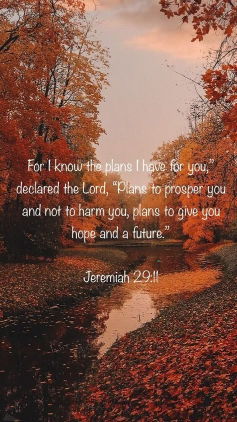 Thanksgiving Wallpaper Bible Verse, I Know The Plans Jeremiah 29, Fall Scripture Quotes, Autumn Bible Verses, Autumn Christian Wallpaper, Fall Bible Verses Wallpaper, Joyful Pictures, Fall Christian Wallpaper, Autumn Scripture