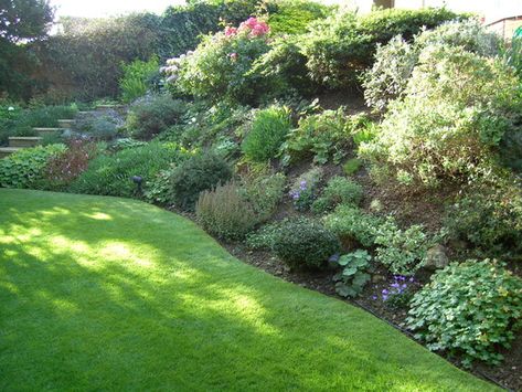 The slope English Hillside Garden, Hill Gardening, Garden Slope, Washington Landscape, Backyard Hill Landscaping, Slope Garden, Hillside Landscape, Sloping Garden, Slope Landscaping