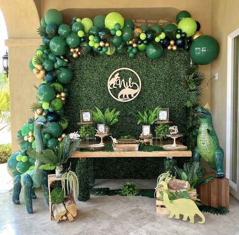 Toddler Birthday Party Themes, Alligator Birthday Parties, 1 Year Birthday Party Ideas, Jurassic Park Birthday Party, Dinosaur Birthday Theme, Jurassic Park Birthday, Dinosaur Birthday Party Decorations, Dinosaur Balloons, Dinosaur Birthday Cakes