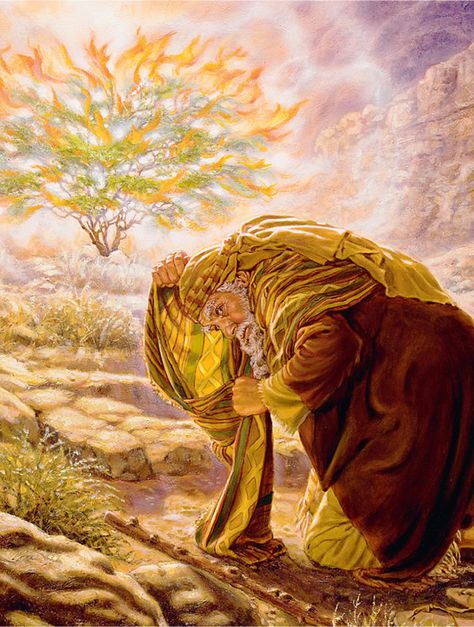 Psalm 133, Biblical Images, Biblical Artwork, Biblical Stories, Burning Bush, Bible Illustrations, Bible Images, Jesus Christ Art, Bible Characters