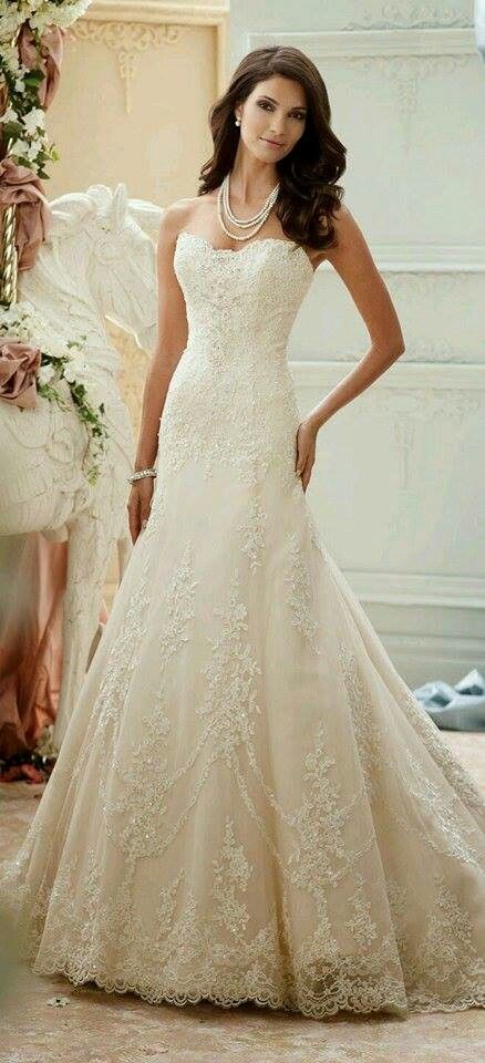 Bride Dress Elegant, Auburn Alabama, David Tutera, 2015 Wedding, Gorgeous Style, Scalloped Neckline, Pnina Tornai, Sophisticated Bride, White Wedding Dress