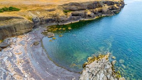 10 hidden gems to discover on BC's Hornby Island | Curated Hornby Island Bc, Hornby Island, Best Fish And Chips, Tidal Pool, Community Halls, Rocky Shore, Roadside Attractions, Island Getaway, Beach View