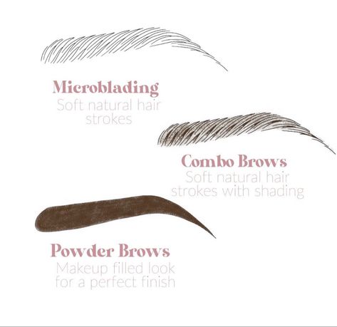 Microblade | Combo | Powder So many different options to choose from. Here is three of the most common pmu brow options. #repost @melissa_boldbrows Microblading Combo Eyebrows, Brow Techniques, Combo Brows Microblading, Brow Styles, Micro Teaching, Microblading Eyebrows Training, Facial Studio, Brow Business, Permanent Brows