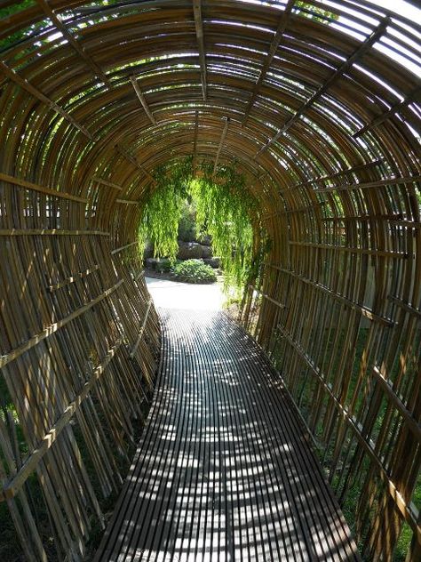 Arched bamboo stalks allow for a play on light and shadow and provide an interesting and unique walkway within a garden. Weeping willows frame the exit of this particular path and allow the green brightness to seep in. Bamboo Tunnel, Garden Tunnel, Outside Spaces, Rock Pathway, Garden Line, Brick Walkway, Bamboo Trellis, Bamboo Stalks, Wooden Walkways