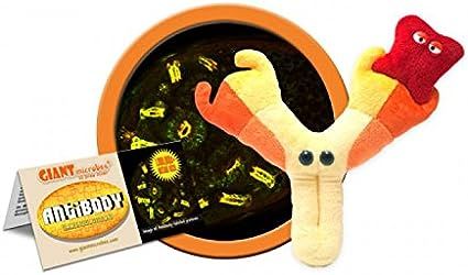 Make health and science learning fun with this unique GIANTmicrobes Antibody plush. Cuddly and soft, this adorable plush will spread healthy feel good vibes to your friends, family and loved ones Unique educational tool for students, scientists, teachers, therapists, social workers, doctors, nurses, psychologists, healthcare workers and anyone interested in or working in Mental Health and a great gift for thse who are dealing with these illness/disorders/deseases. Plush Microbes, Barbie Kitchen Set, Giant Microbes, Giant Plush, Get Well Gifts, Learning Science, Gifts For Teachers, Learning Tools, Fun Science