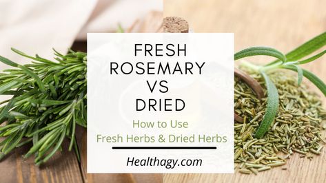 Fresh Rosemary vs Dried, How to Use Fresh Herbs & Dried Herbs Dried Rosemary, Rosemary Sprigs, Dried Herbs, How To Dry Rosemary, Fresh Rosemary, Marjoram, Drying Herbs, Digestive Health, Fresh Herbs