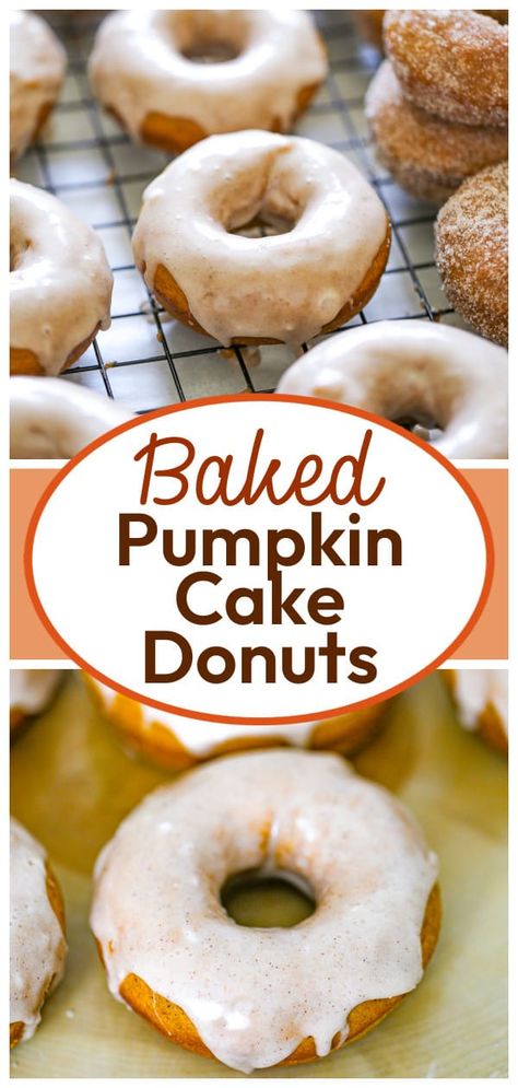 Baked Pumpkin Cake Donuts Pumpkin Cake Donut Recipe, Mini Donut Maker Recipes, Baked Doughnut, Mini Donut Maker, Oatmeal Bread Recipe, Pumpkin Donuts Recipe, Homemade Donut, Cake Donuts Recipe, Pumpkin Pie Recipe Easy