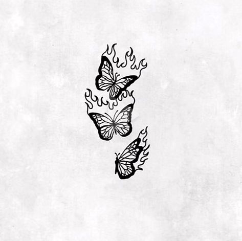 3 Butterfly Tattoo, Minimalist Tattoos, Tattoo Idea, A Tattoo, Butterfly Tattoo, Tattoo Ideas, Butterflies, Tattoos