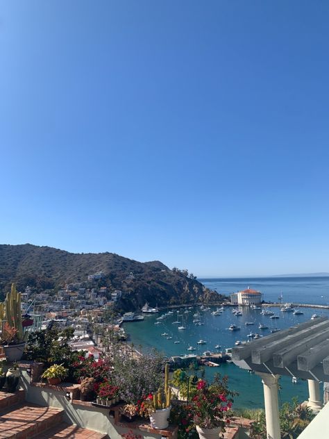 Catalina Aesthetic, Catalina Island Aesthetic, Catalina Core, Catalina Island California, Summer Checklist, Santa Catalina Island, Vacation Itinerary, Senior Trip, Santa Catalina