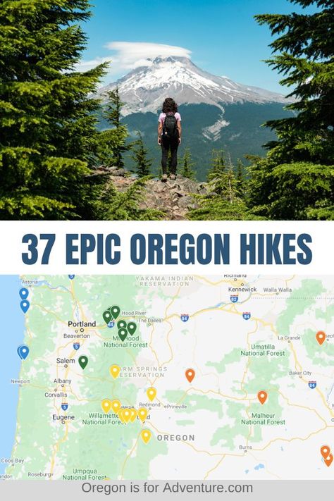 Hiking In Oregon, Hikes In Oregon, Oregon Hiking Trails, Oregon Coast Roadtrip, Oregon Hiking, Colorful Desert, Pacific Northwest Travel, Oregon Life, Oregon Hikes