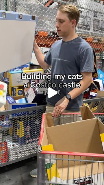 Box Castle, Castle Parts, Cat Castle, Cat Hacks, Lets See, Cat Tower, Food Animals, Castle, Audio