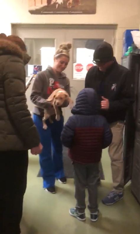 Little Boy Breaks Down When His Parents Surprise Him With Puppy - InspireMore Puppy Surprise, Nutty Buddy, Tiny Puppy, Tiny Puppies, Happy Tears, Puppy Adoption, Waiting For Him, Beloved Dog, Family Dogs