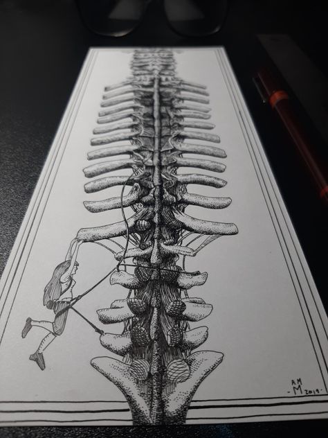 Human Anatomy Art Artworks, Human Spine, Pen Illustration, Human Anatomy Art, Visual Media, Medical Illustration, Book Art Drawings, Anatomy Art, Texture Art