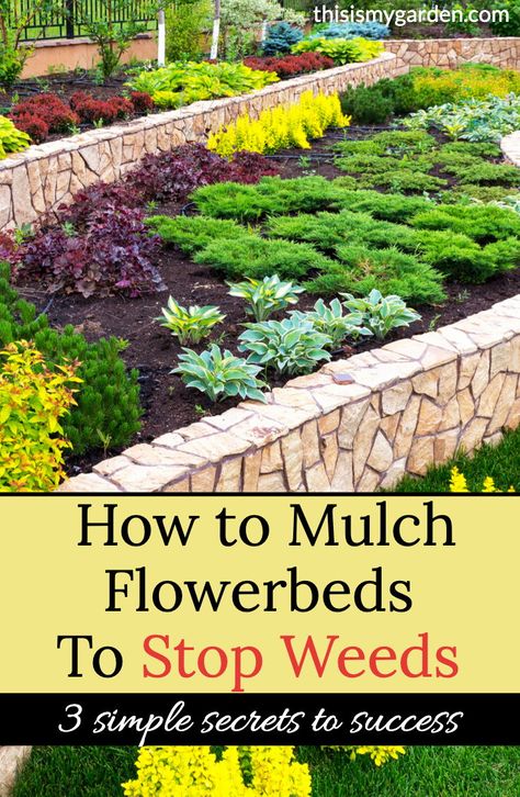 Mulch Garden, Easy Garden Ideas Landscaping, Garden Front Of House, Garden Mulch, Herb Garden Design, Vegetable Garden Diy, Garden Shrubs, Garden Care, Small Garden Design