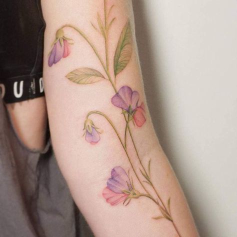 Top 57+ Best Sweet Pea Flower Tattoo Ideas - [2021 Inspiration Guide] | Flower tattoo, Vintage flower tattoo, Sweet pea tattoo Tattoo Sweet Pea, Sweetpea Flower Tattoo, Pea Flower Tattoo, Sweet Pea Flower Tattoo, Honeysuckle Tattoo, Sweet Pea Tattoo, Vintage Flower Tattoo, Sweet Pea Flower, Flower Tattoo Ideas