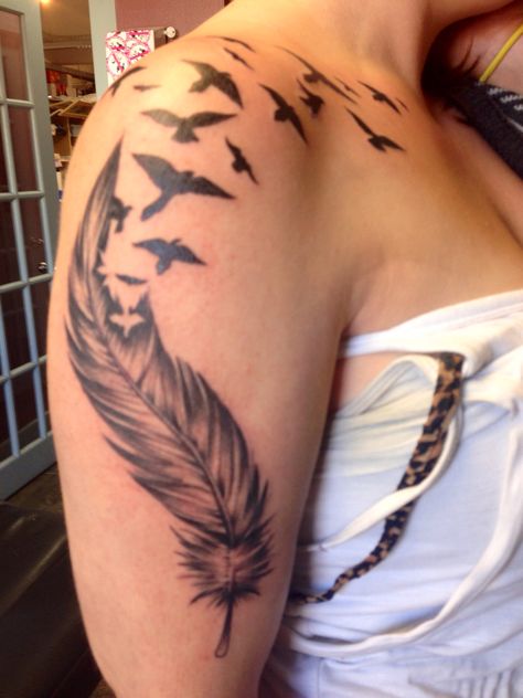 My very first! Brand new tattoo! Feather To Birds Tattoo, Feather Tattoos For Women On Shoulder, Feather Tattoo Shoulder, Bird Feather Tattoo, Feather Tattoo Drawing, Brand New Tattoos, Feather With Birds Tattoo, Tattoo Shoulder, Feather Tattoo Design