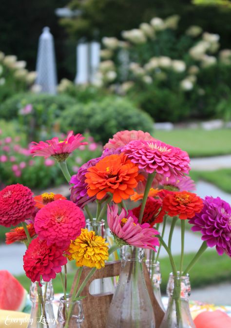 Zinnia Bouquet June Wedding Centerpieces Diy, Zinnia Tablescape, Zinnias Wedding, Zinnia Bridal Bouquet, Zinnia Wedding Flowers, Zinnia Wedding Bouquet, Zinnia Wedding, Zinnia Bouquet, Baja Wedding