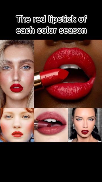 Nathalia Vaz-Image Consultant on Instagram: "The red lipstick of each color season! To find your perfect lipstick, you need to do your color analysis and find your color contrast to define your ideal tone. Those pictures are a few examples of the many possibilities inside each color season! The winter family will harmonize with deep, bright, and cool undertones. The best choice is berry red (like wine) with rich deep pinkish tones. The lipstick can have an intense color with a creamy finish. T Purple Eye Shadow Red Lipstick, Summer Lipstick Colors, Deep Red Lipsticks, Summer Lipstick, Cool Summer Palette, Drugstore Lipstick, Lipstick Palette, Perfect Lipstick, True Winter