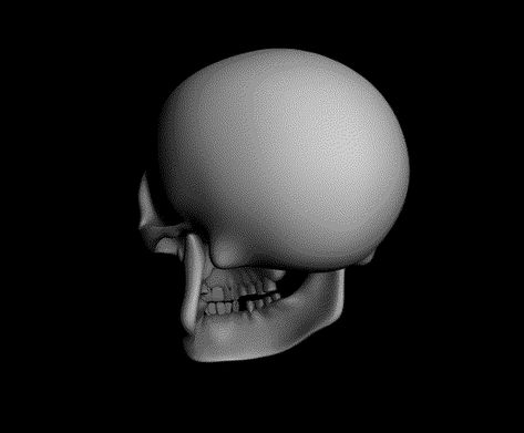 20 Great Skull Animated Gifs at Best Animations Rotating Skull Gif, Spinning Skull Gif, Skeleton Animation, Skull Animation, Skull Pfp, Skull Meme, Skeleton Gif, Skull Gif, Moving Gif