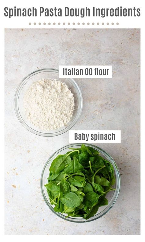 Spinach Pasta Dough, Authentic Lasagna, Homemade Spinach Pasta, Authentic Italian Lasagna, Spinach Noodles, Spinach Pasta Recipes, Homemade Pasta Dough, Lasagna Bolognese, Italian Lasagna