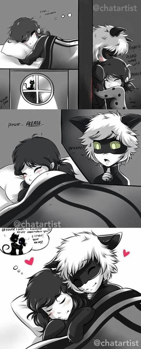 Just imagine she wakes up tho and sees him detransformed then she has to take about an hour to rethink everything that went down between her and adrien then her and chat noir Marichat Comic, Comics Ladybug, Ladybug Und Cat Noir, Mlb Comics, Ladybugs Movie, Miraculous Ladybug Kiss, Tikki Y Plagg, Ladybug And Cat Noir, Miraculous Ladybug Memes