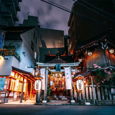 Nihonbashi Tokyo, Bonsai Tree Painting, Japan Travel Photography, Natural Hot Spring, Japanese Tokyo, Onsen Ryokan, Netflix Shows, Tokyo Museum, Learning Japanese