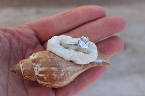 Engagement Ring Box Proposal Box Sea Shell by MountainUrsusDesigns #BeachWedding #RingBox Engagement Platter, Engagement Ring Box Proposals, Engagement Ring Holder, Conch Seashell, Ring Box Proposal, Engagement Ring Holders, Beach Proposal, Ring Pillows, Ring Pillow Wedding