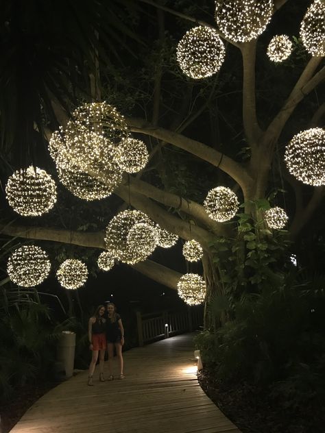 Tree Lanterns Hanging, Lights Hanging From Trees, Solstice Lanterns, Lights On Trees, Outdoor Decorations Ideas, Hanging Tree Lights, Outdoor Tree Lighting, Christmas Coffee Table Decor, Rice Lights