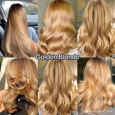 hair colors fall|haire color fall|hair color thinning hair|hair color ideas for blondes Full Honey Blonde Hair, Warm Hair Color Ideas Blonde, Blond Honey Hair, Warm Autumn Blonde Hair, Blonde Hair Color Ideas For Fall, Harvest Blonde Hair, Level 7 Blonde Hair, Honey Blonde Hair Inspiration, Warm Autumn Hair Color Blonde