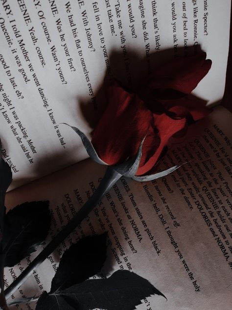 Aesthetic Wattpad, Red Roses Wallpaper, Decoration Aesthetic, Aesthetic Roses, Rosé Aesthetic, Simple Phone Wallpapers, Pretty Backgrounds, Book Wallpaper, Hauntingly Beautiful