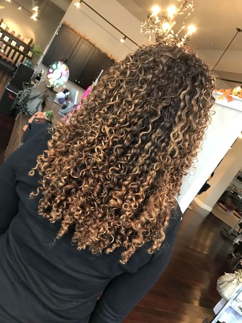 Curly Hair With Balayage, Blonde Highlights Curly Hair, Dyed Curly Hair, Highlights Curly Hair, Ombre Highlights, Blonde Curly Hair, Colored Curly Hair, Dyed Natural Hair, Honey Blonde Hair