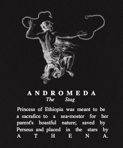 Andromeda Goddess, Andromeda Greek Mythology, Andromeda Mythology, Greek Mythology Goddesses, Astronomy Constellations, Greek Mythology Gods, Legends And Myths, Greek Gods And Goddesses, Greek And Roman Mythology