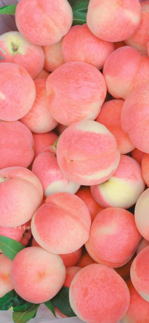 Peaches Aesthetic Wallpaper, Pink Fruit Aesthetic, Peach Aesthetic Wallpaper, Peach Wallpaper, Peach Aesthetic, Wallpaper Project, Peach Fruit, Fruit Wallpaper, Step Up Dance