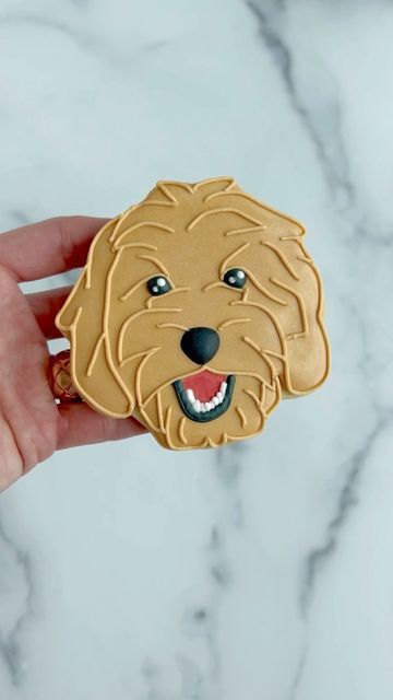 New Big Brother, Golden Doodle, Animal Cookies, Cake Decor, Oddly Satisfying, Royal Icing Cookies, Satisfying Video, Custom Cookies, Cookie Cake