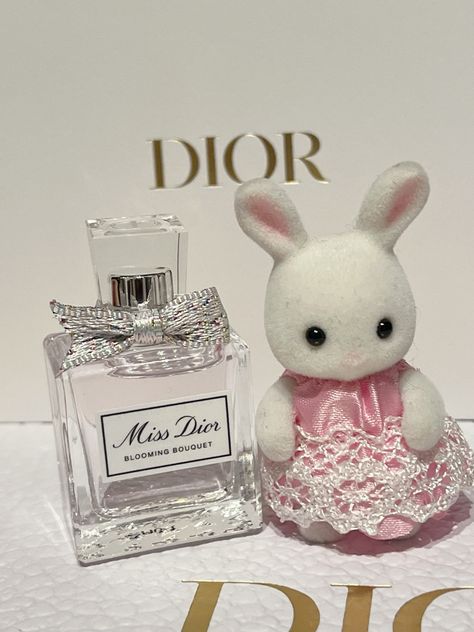 #dior #sylvanian #miniature #missdior #aesthetic #tiktok Critters 3, Miss Dior Blooming Bouquet, Calico Critters Families, Family World, Baby Pink Aesthetic, Aesthetic Tiktok, Pink Girly Things, Little Critter, Cute Little Things