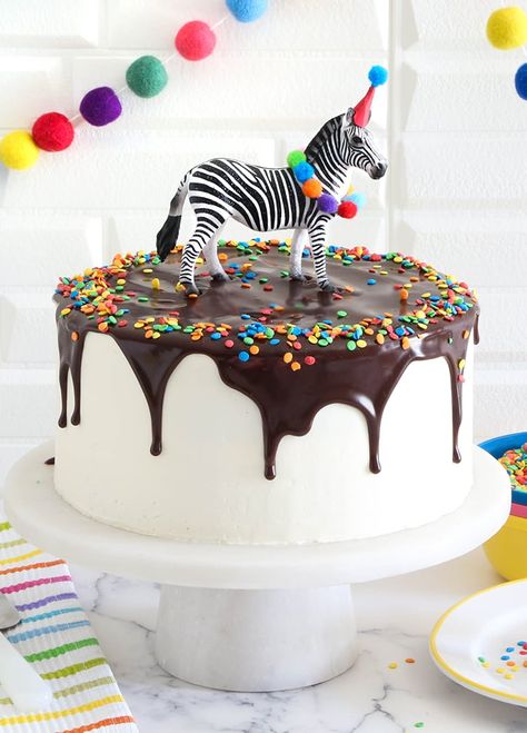 Zebra Layer Cake Zebra Cake Birthday, Rosie Birthday, Birthday Pies, Zebra Cakes, Zoo Cake, Small Birthday Cakes, Chocolate And Vanilla Cake, Animal Birthday Cakes, Jungle Cake