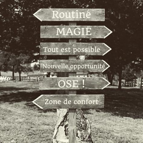 Droite ou gauche ? 😮 #lmp #choix  #choisir #decisions #route #chemin #destination Destination Voyage, Spirituality Energy, Bw Photo, Black And White Pictures, Positive Attitude, Positive Vibes, Good Vibes, Life Lessons, Quotes To Live By