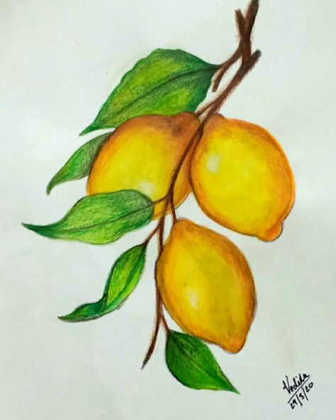 Drawing Lemon, Lemon Drawing, Strawberry Drawing, Natural Form Art, Unicorn Painting, Lemon Painting, Fruits Drawing, Canvas Painting Tutorials, Color Collage