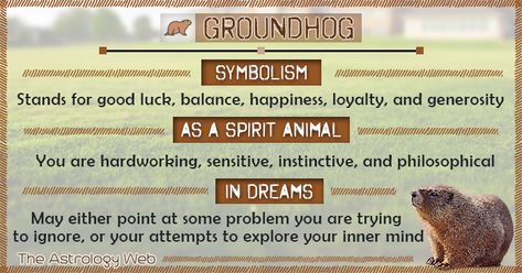 Grounghog Symbolism Spirit Animal Dream Hawk Spirit, Tarot Symbols, Animal Totem Spirit Guides, Witchy Business, Spirit Animal Meaning, Totem Animals, Animal Meanings, Game Pics, Animal Tarot